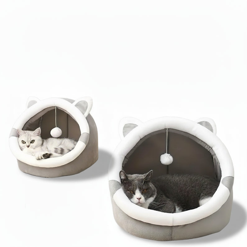 Kattkoja