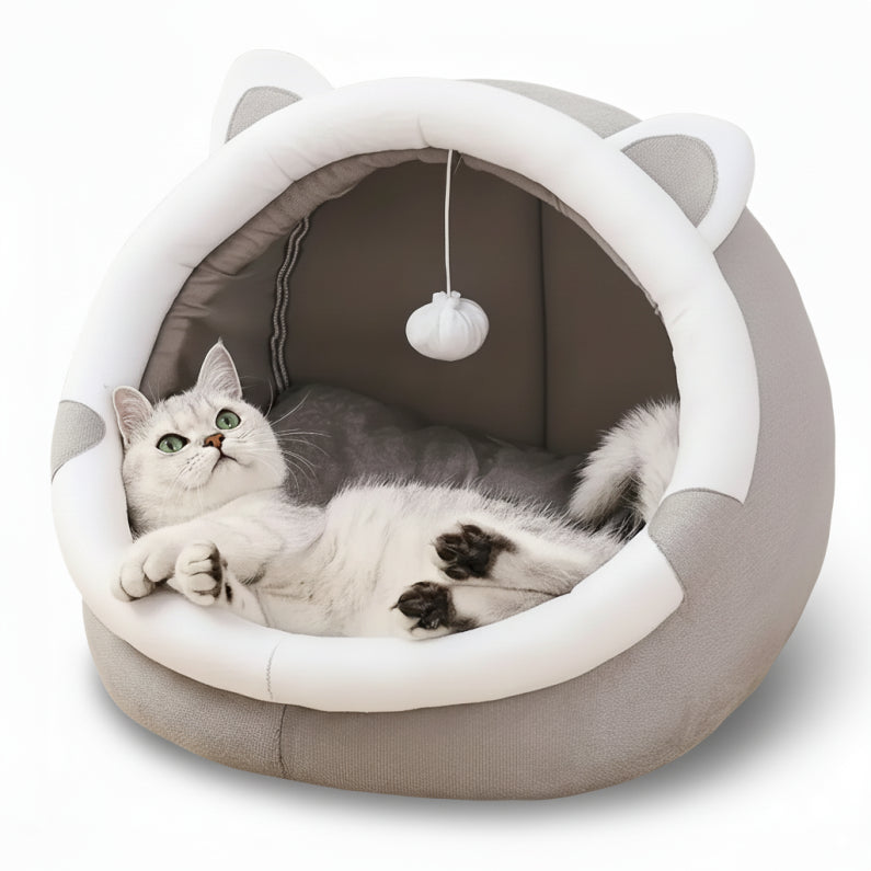 Kattkoja