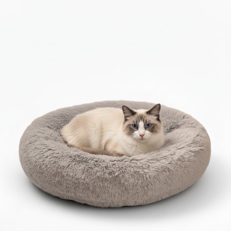 Kattsäng
